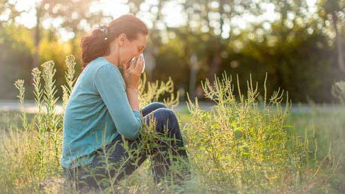 Hayfever site 3b0